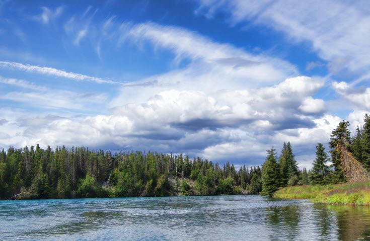 Lower Chatanika State Recreation Area, Alaska, USA